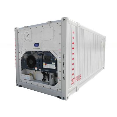 Dimensão personalizada 23ft BV Certificado Refrigerador Container de armazenamento -30- 30C Temperatura 380/440V