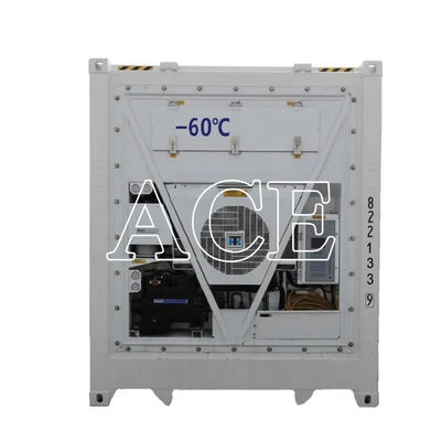 40ft Reefer Deep Blast Feezer Containers Polyurethane Isolado Refrigerador Thermo King para 60 graus de armazenamento de atum fresco
