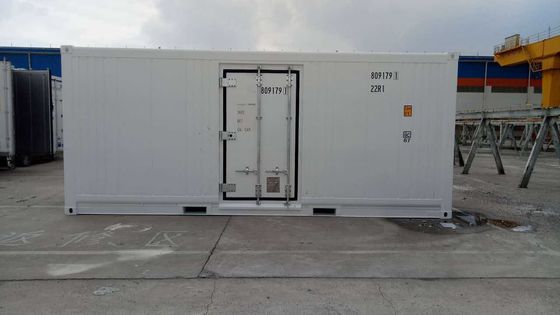 Carrier Cooler 20ft Reefer Container com porta lateral de alumínio fundo Thermo King congelador refrigerado