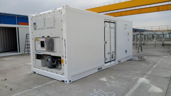 Carrier Cooler 20ft Reefer Container com porta lateral de alumínio fundo Thermo King congelador refrigerado