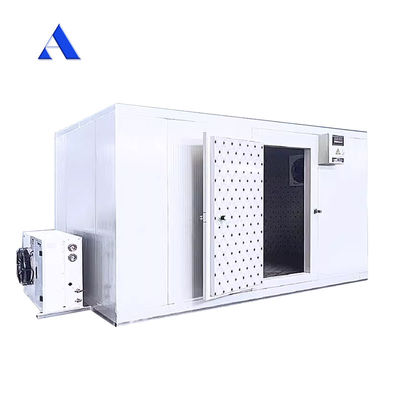 Aço inoxidável parede interna 40ft x 20ft Dual temperatura Chiller e congelador Container Sala de frio para armazenamento Reefer Container