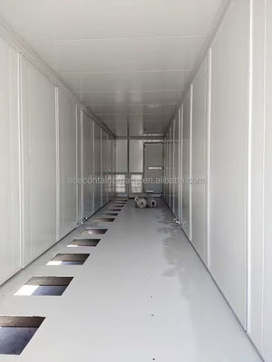 Aceito Pequena quantidade de encomenda Bess Customizable 40ft Solar Energy Storage System Battery Container