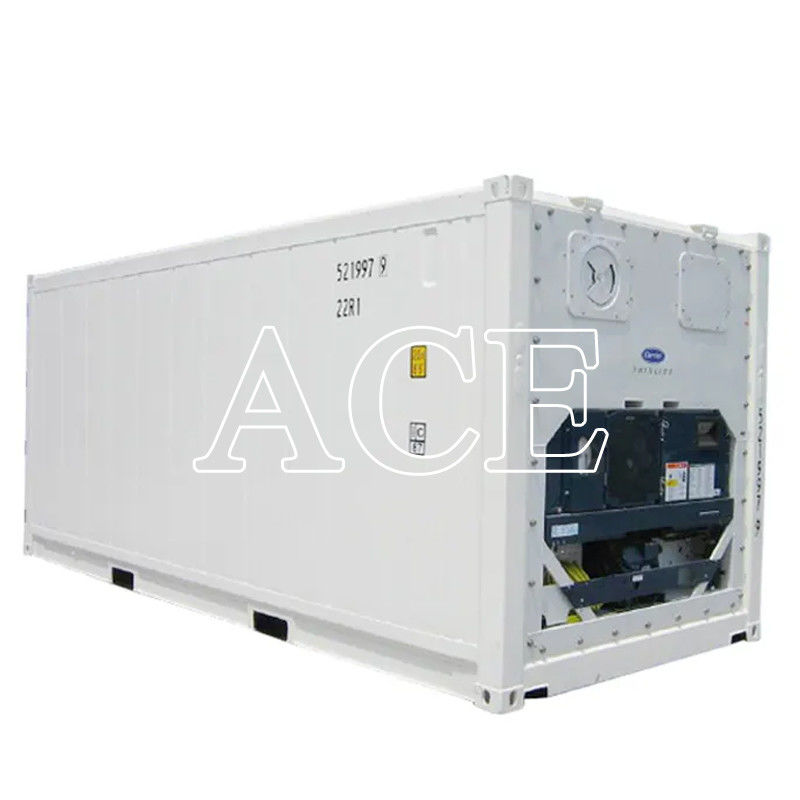 20ft Reefer Container Carrier Refrigerador congelador ou congelado duplo propósito com dimensões internas