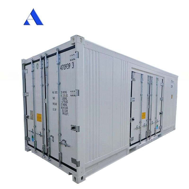 Carrier Cooler 20ft Reefer Container com porta lateral de alumínio fundo Thermo King congelador refrigerado