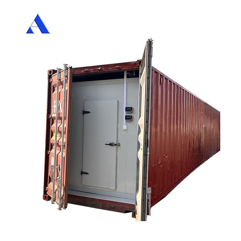R134a/R404A Refrigerante 12m comprimento 60 cbm 40ft Refrigerado Reefer Container Armazenamento de sala fria Alumínio durável T-Bar piso